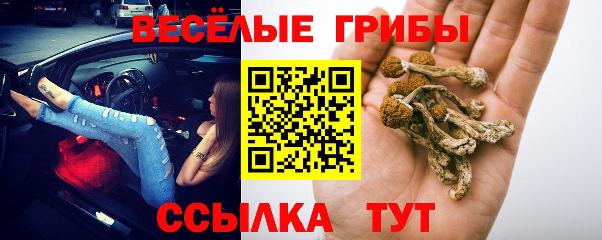 Галлюциногенные грибы Cubensis  Вход с VPN  Галлюциногенные грибы Psilocybine cubensis  Менделеевск 