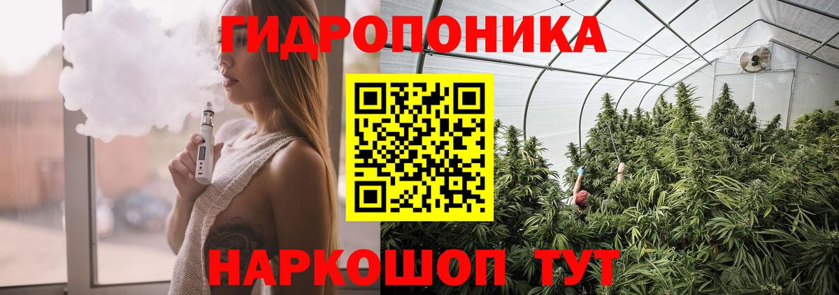 Бошки марихуана Bruce Banner  Вход с VPN  Менделеевск  Конопля MAZAR 
