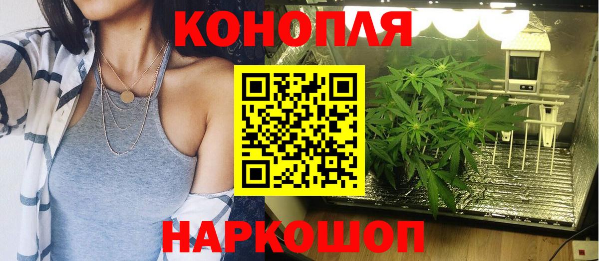 Шишки марихуана MAZAR Менделеевск